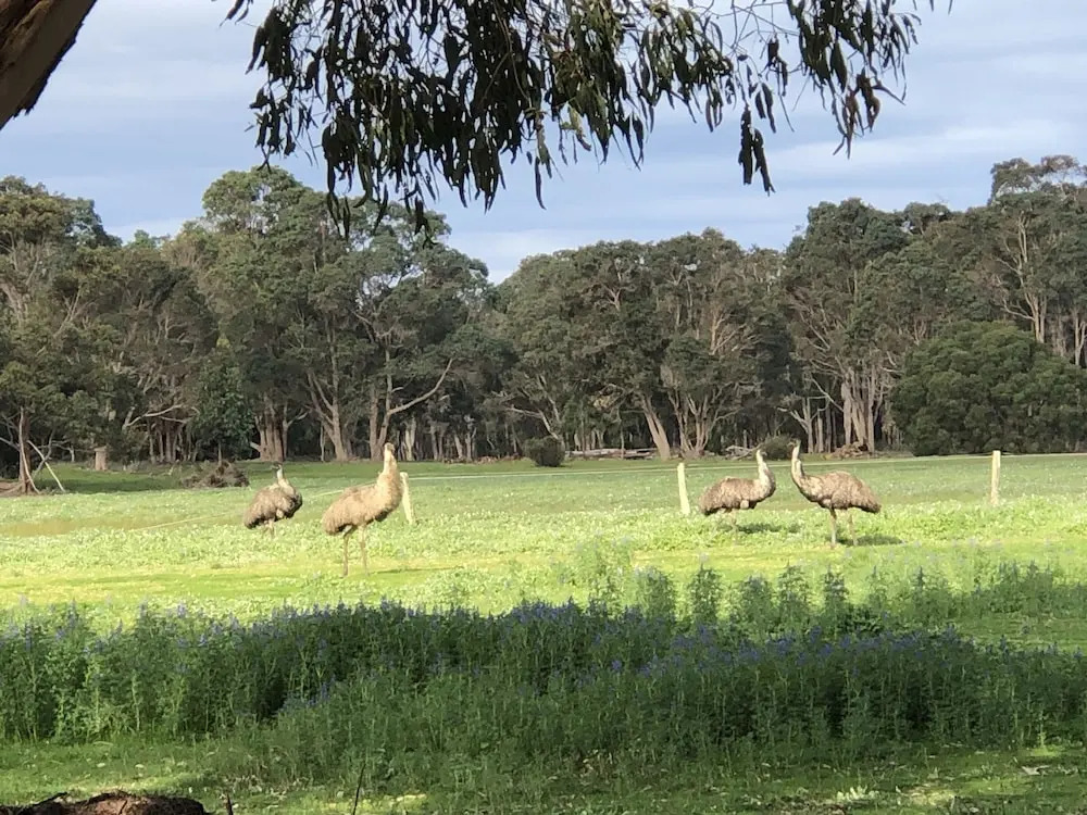 Margaret River Retreat