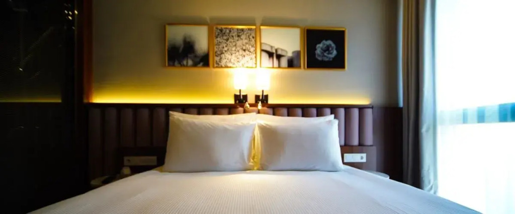 Four Points Flex by Sheraton Bursa Nilüfer