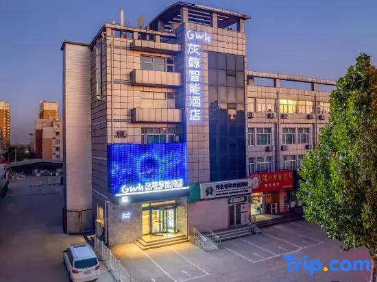 Grey Whale Smart Hotel (Boye Bus Station)