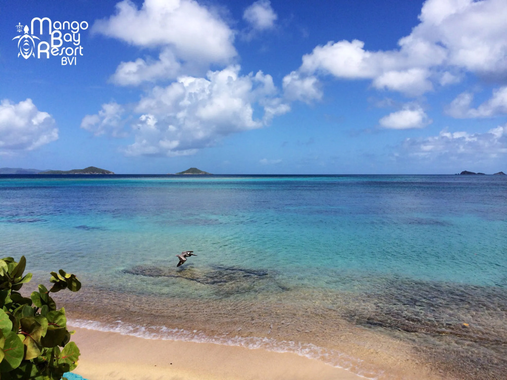 Mango Bay Resort