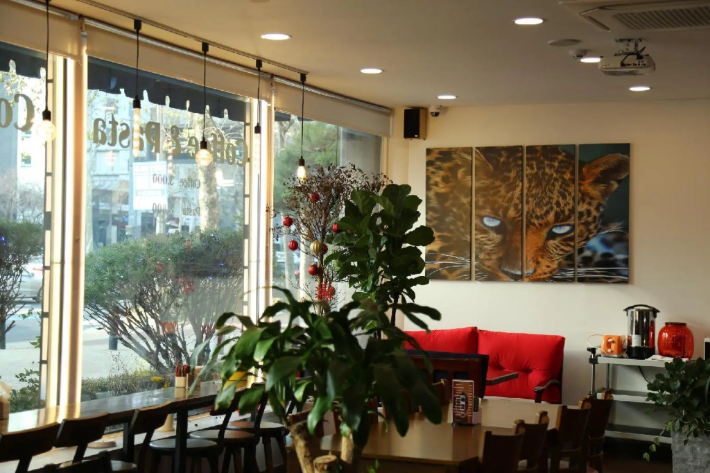 Lavita hotel