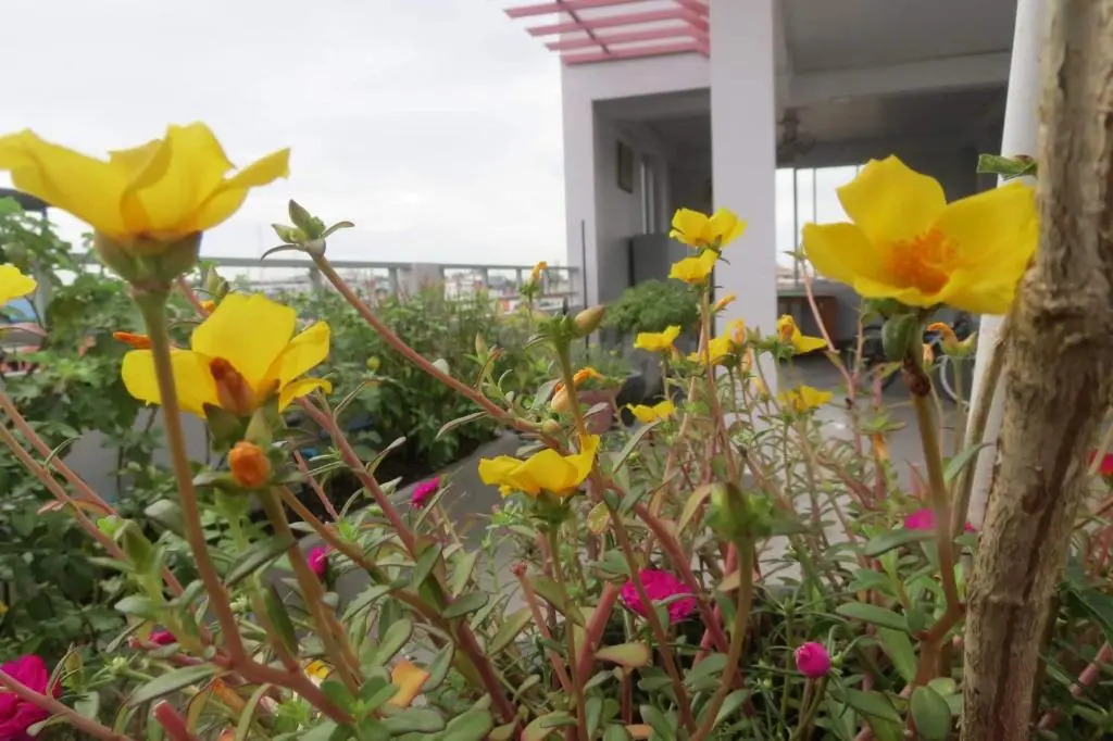 2N Residence