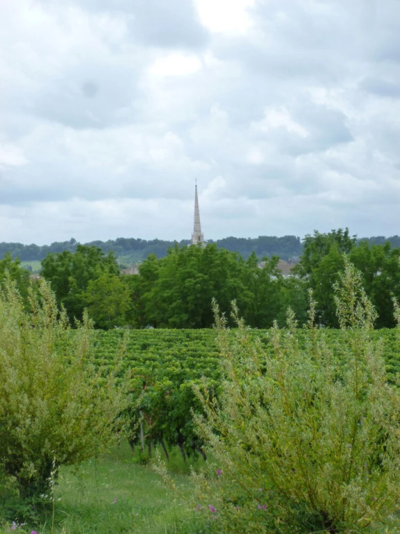 Le Cerisier