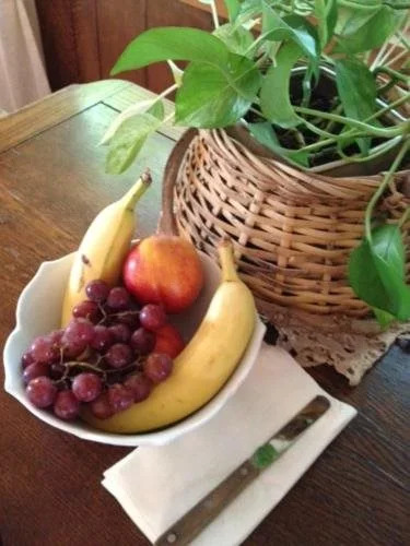 Judys Bed and Breakfast