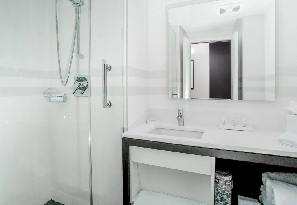 Courtyard by Marriott Long Island City/New York Manhattan View