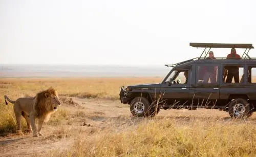 Sentinel Mara Camp