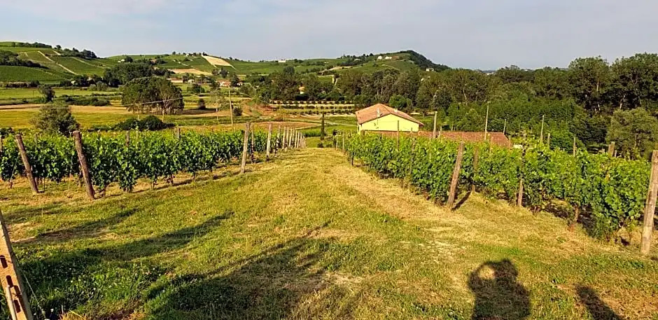 Villa Vigneto