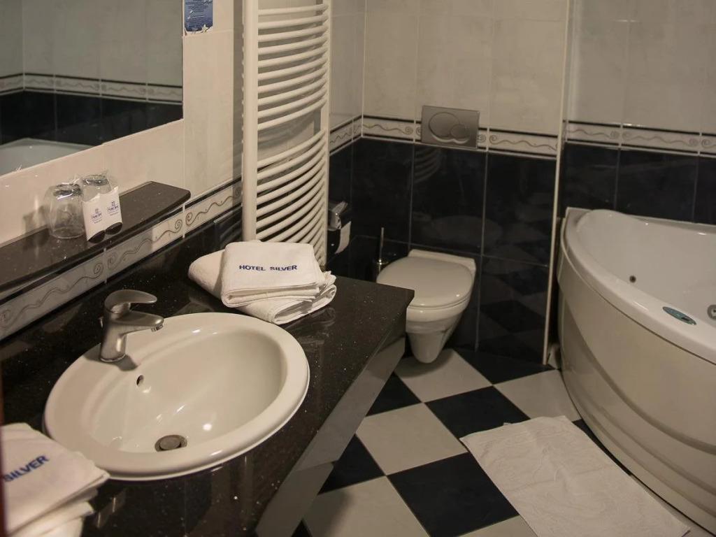 Hotel Silver