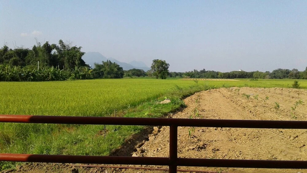 View Doi Resort