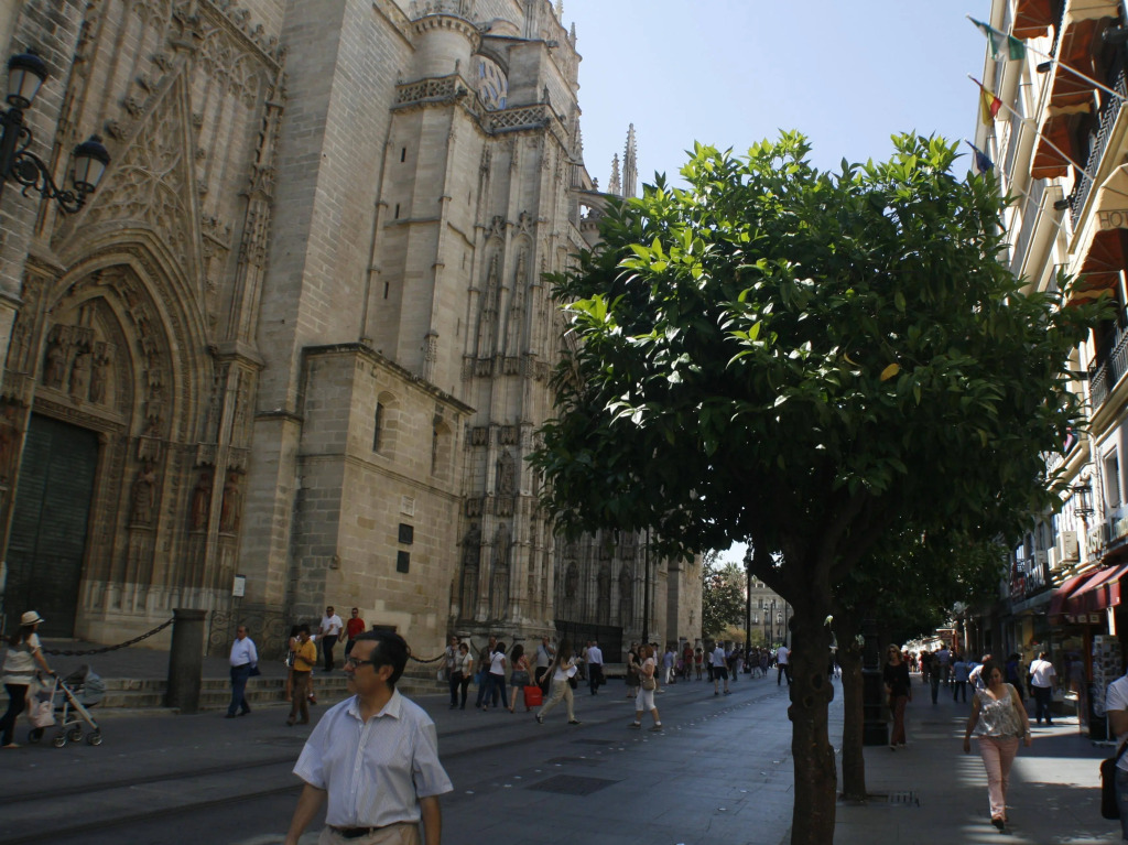Catedral Boutique