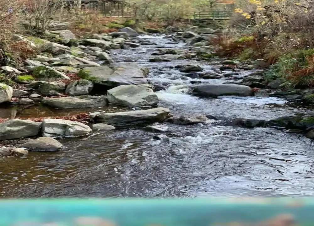 Harz-kurzurlaub in Lonau
