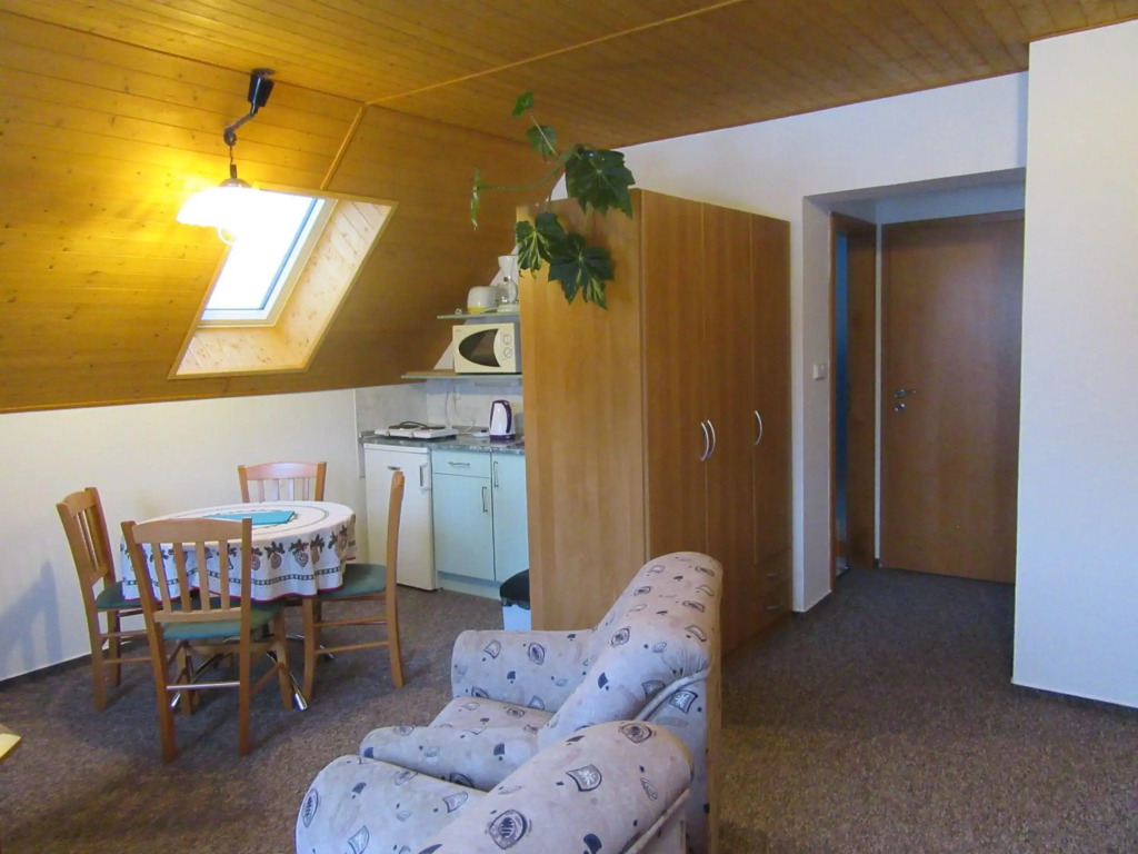 Apartment Dvořáků