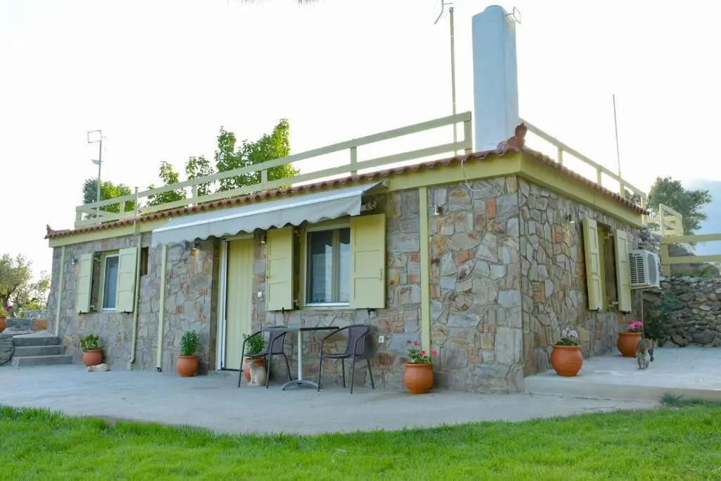 House in 10 acres of grass with horses