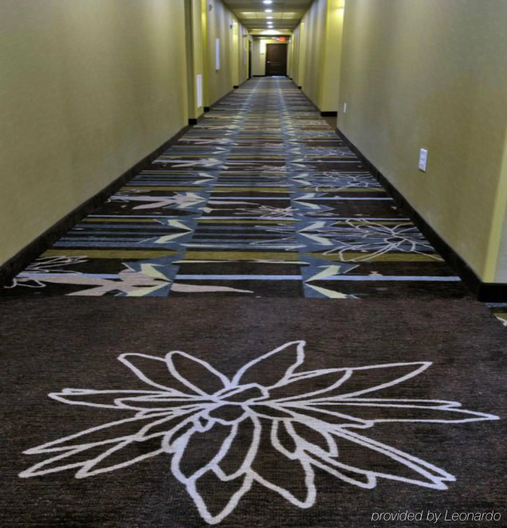 Staybridge Suites St. Petersburg FL by IHG