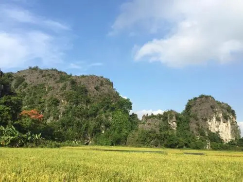 Tam Coc Vinh Thinh Homestay