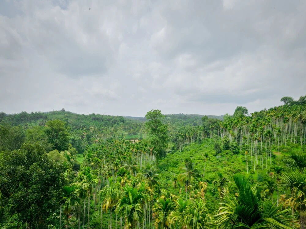 Wayanadia Resort Hotel