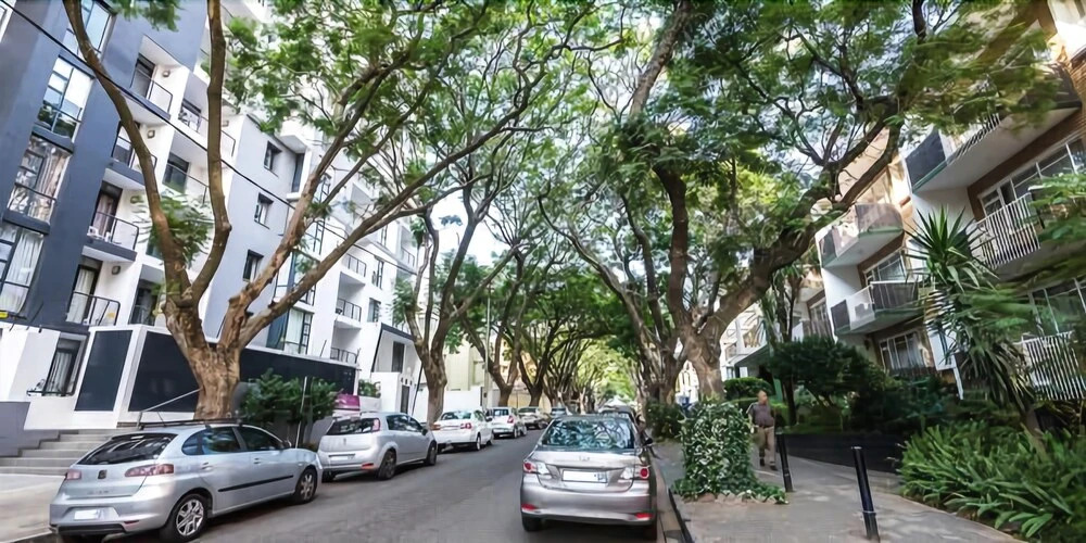 50 on Shepherd Rosebank