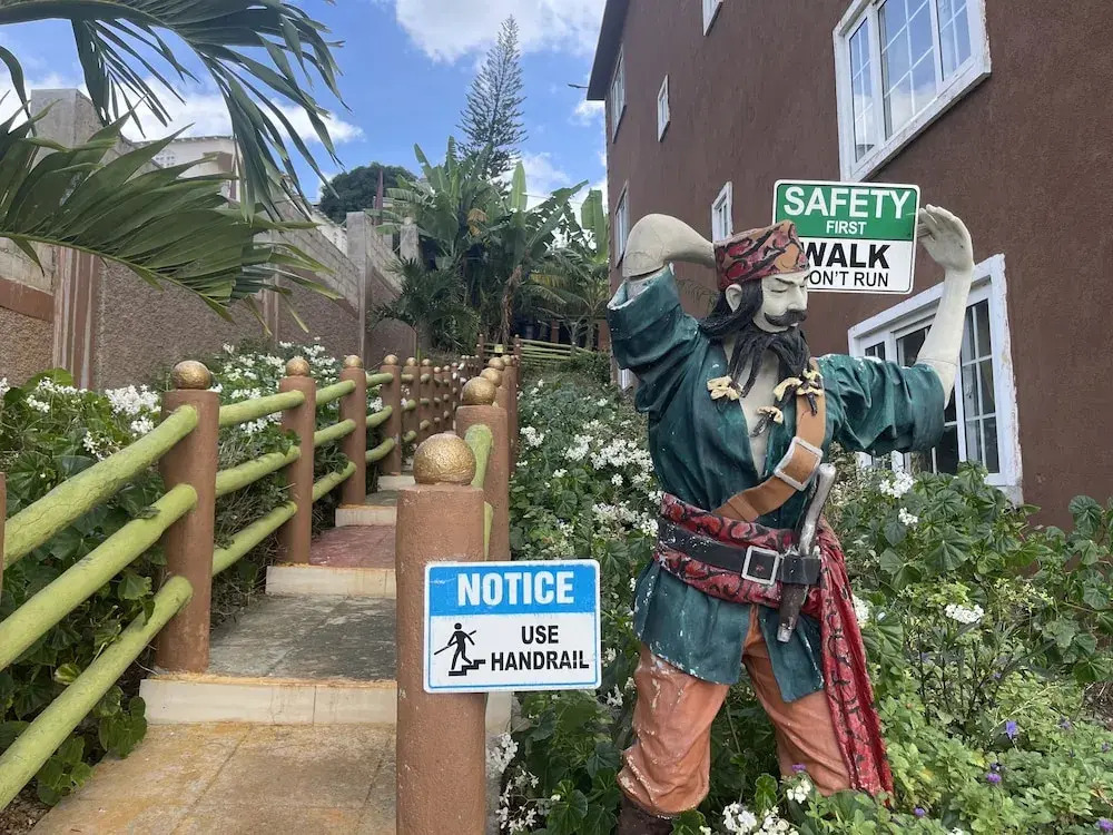Pirate Palms