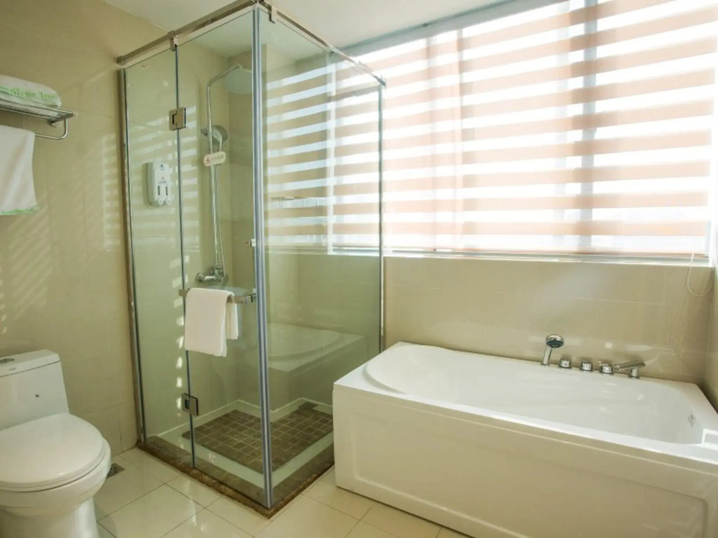 GreenTree Inn Hefei Lujiang County NO.1 Jin Street Express Hotel