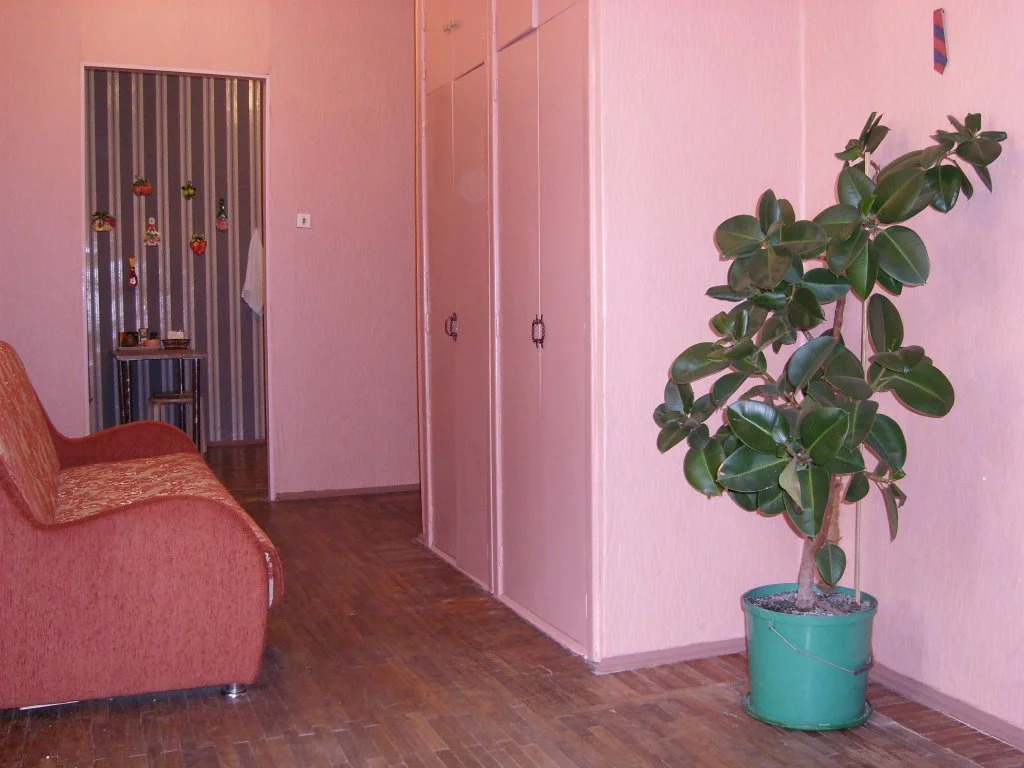 Welcome Home Apartments Grodnensky 12