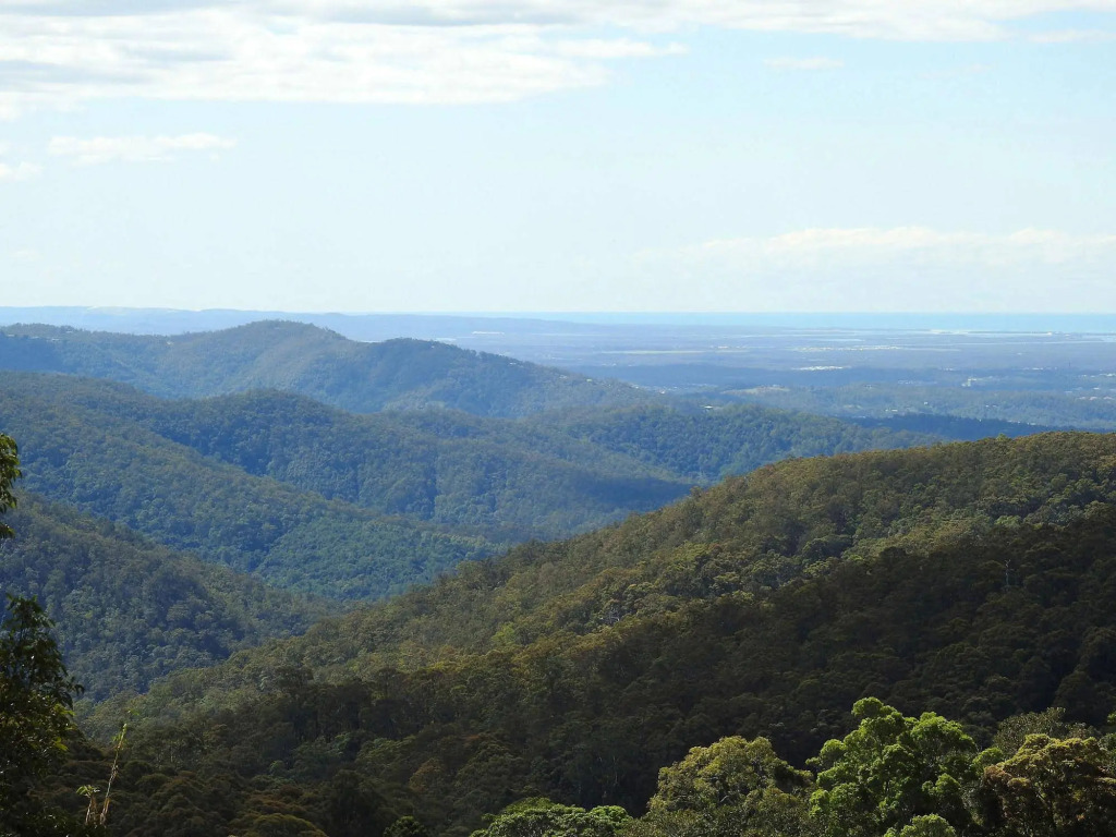 The Tamborine - Boutique Hotel