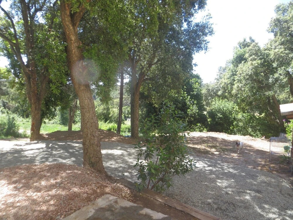 Apartment With one Bedroom in Cervione, With Enclosed Garden and Wifi