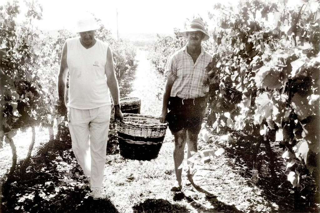 Narbona Wine Lodge