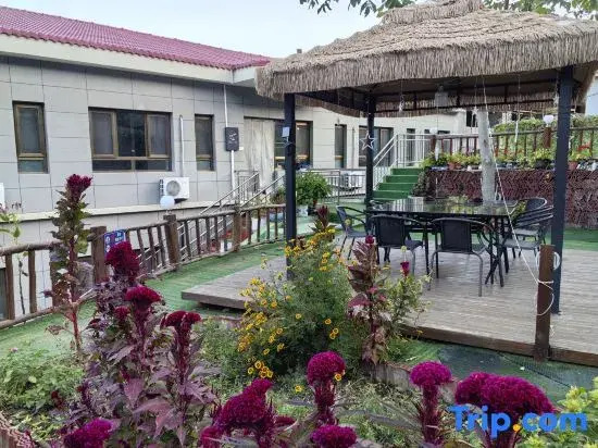 Yunmiao Xiaozhu Guesthouse in Miaofeng Mountain