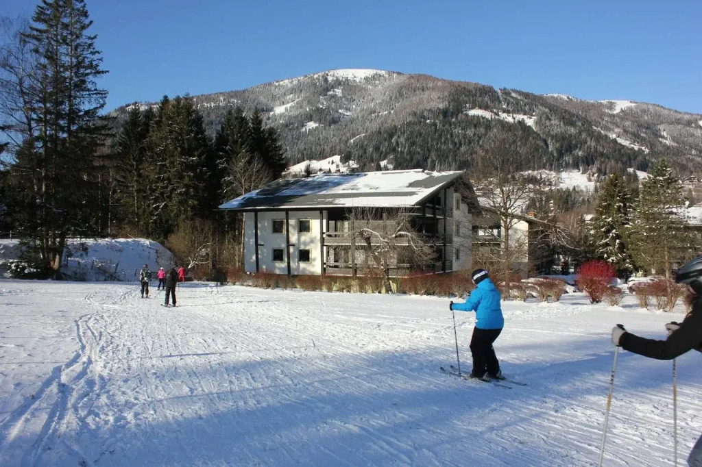 Appartementanlage Thermenblick SKI IN & SKI OUT
