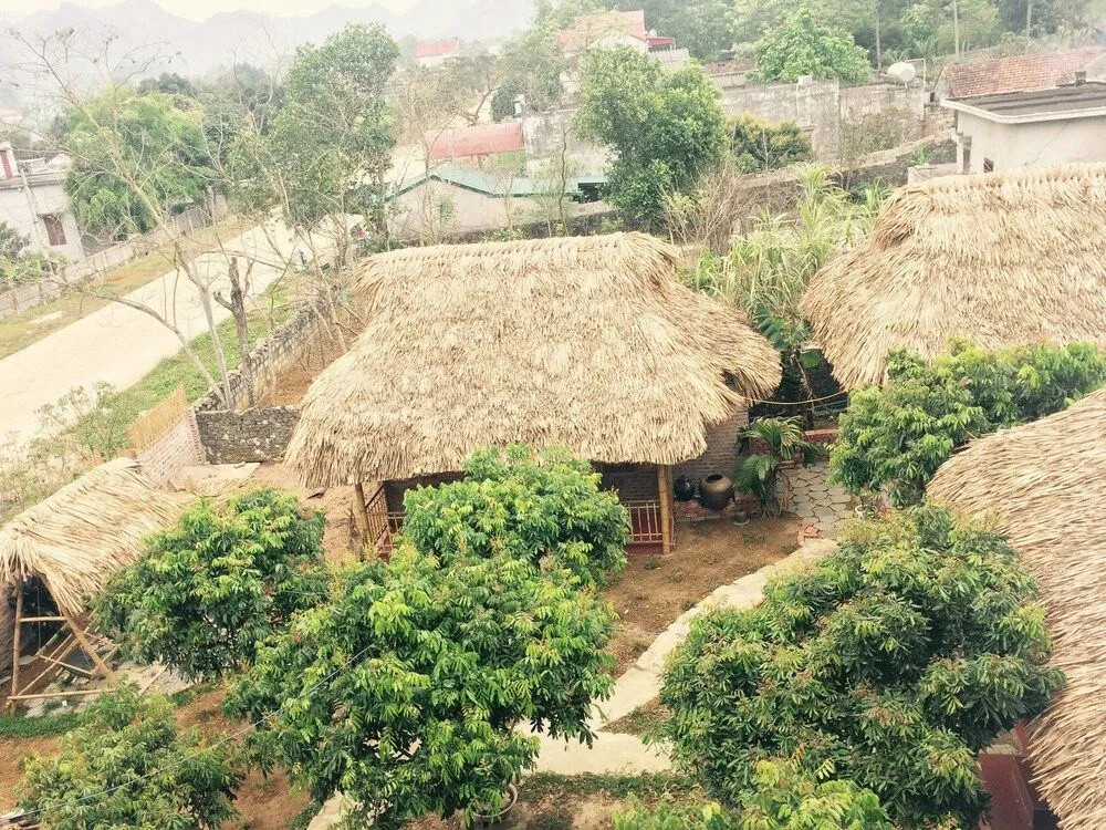 Ninh Binh Bamboo Farmstay