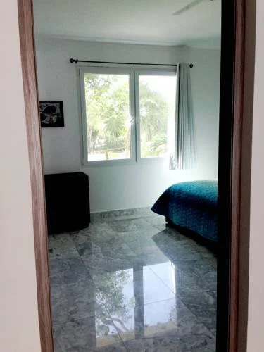 Picalu Studios