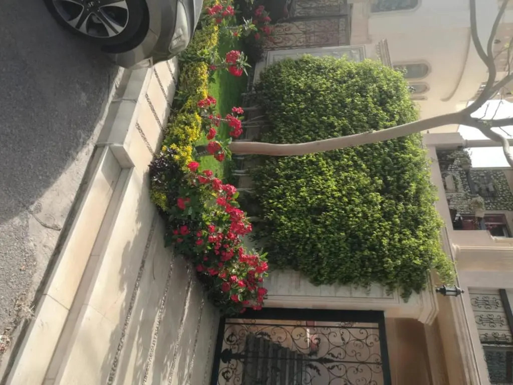 New Cairo Villa