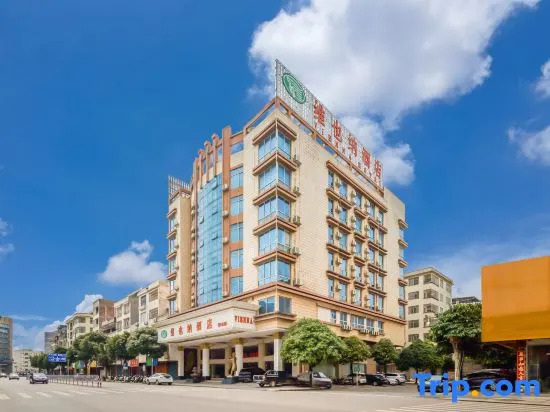 Vienna Hotel (Chongzuo Fusui Branch)