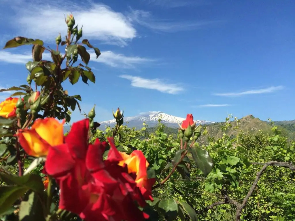 Il Giardino Segreto