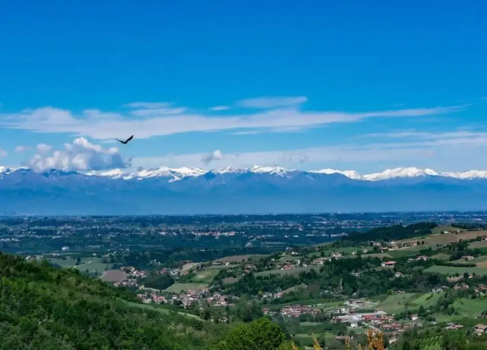 Hillview Langhe Apartment