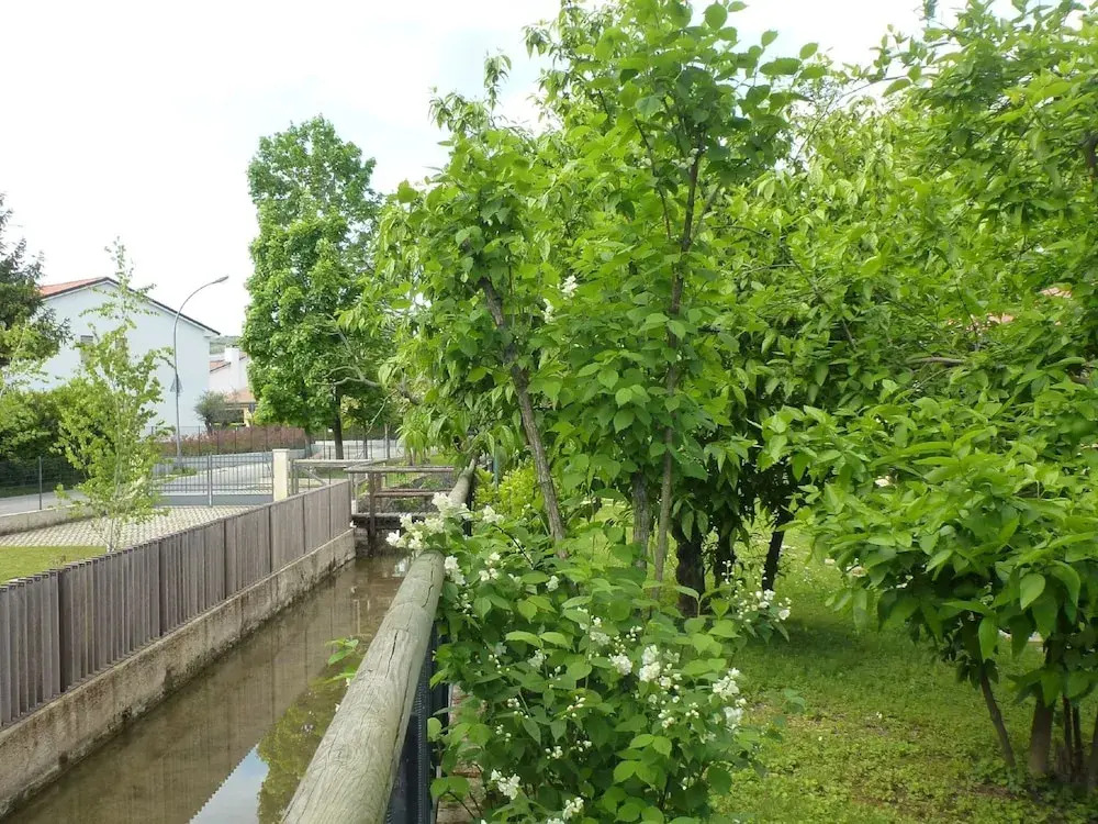 Modern Accommodation, Just Renovated, Private Garden, Wifi, Near Treviso