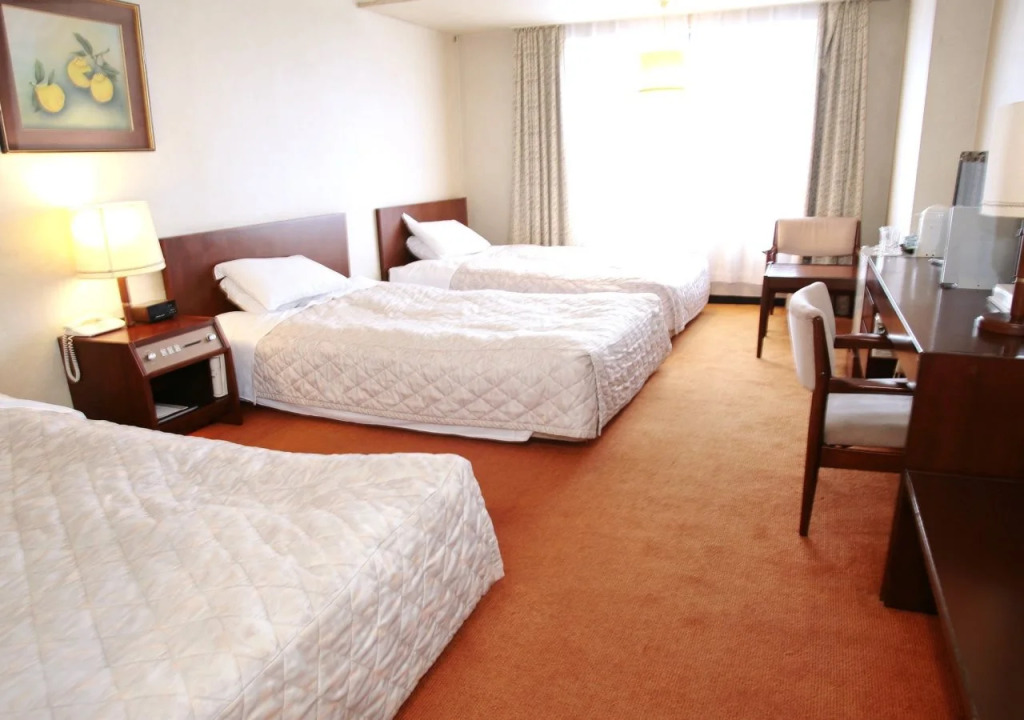 Hotel New Tanaka