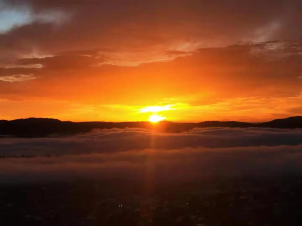 Hobart View