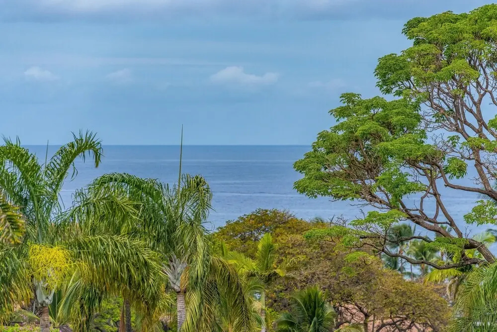 Palms At Wailea 1306