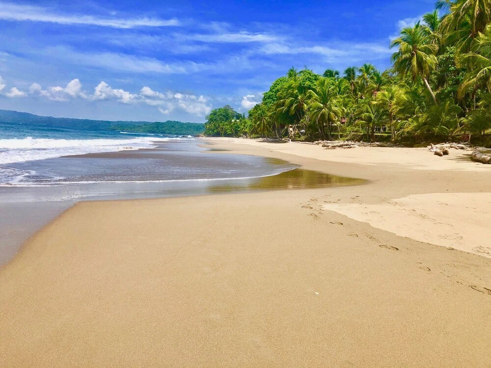 Ocean Oasis