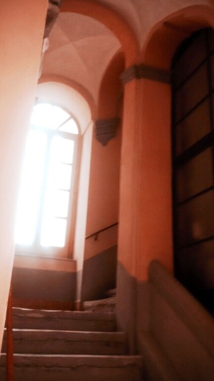 Domusrealstella