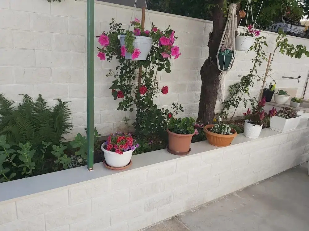 Apartmani Teo