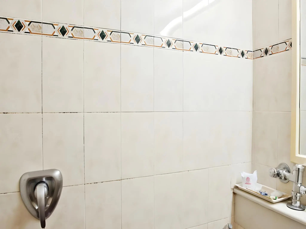 Hotel Maurya Residency