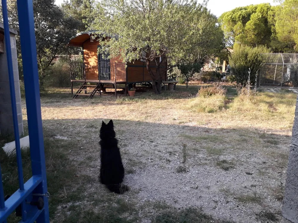 La Roulotte à Béa