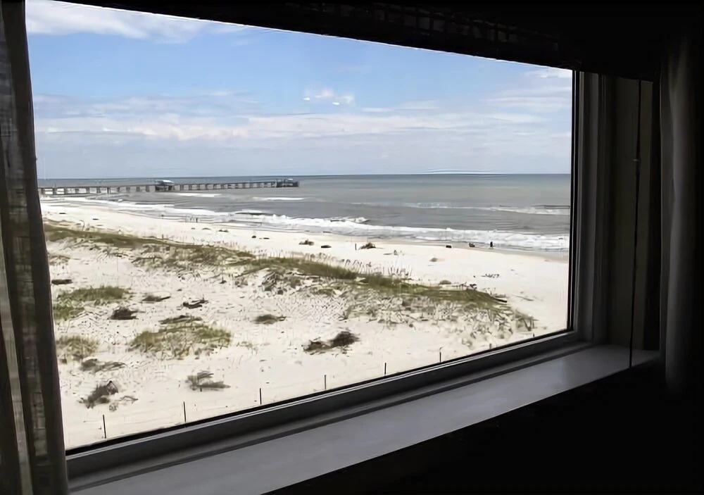 Royal Palms 501 by RedAwning