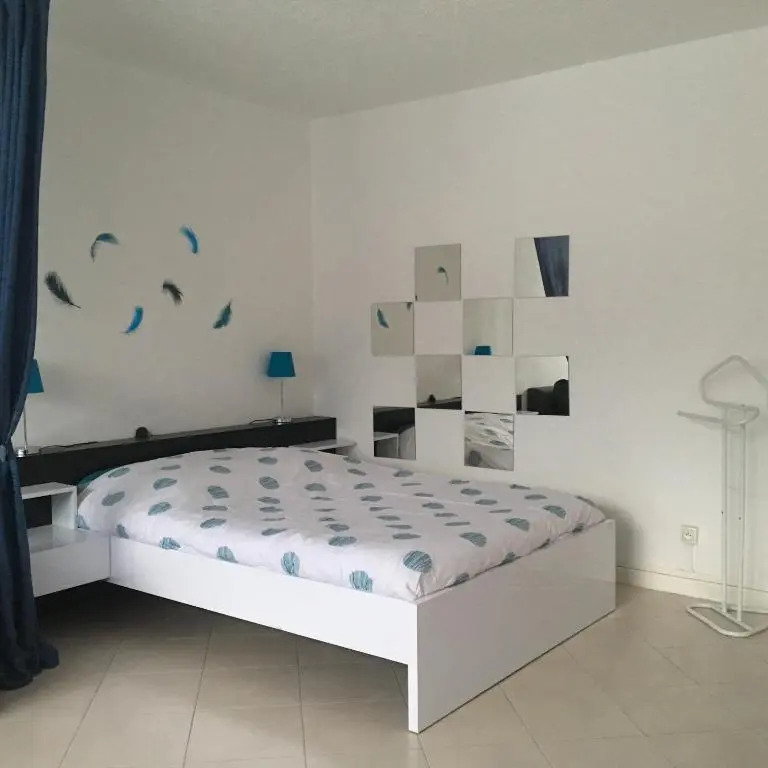Ancely Studio Aséptisé