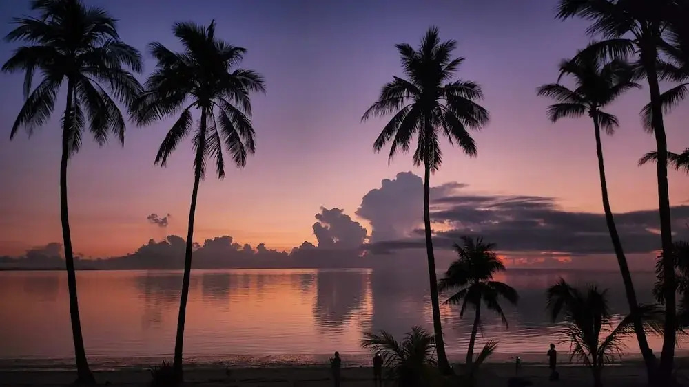 Tropical Stay Boracay