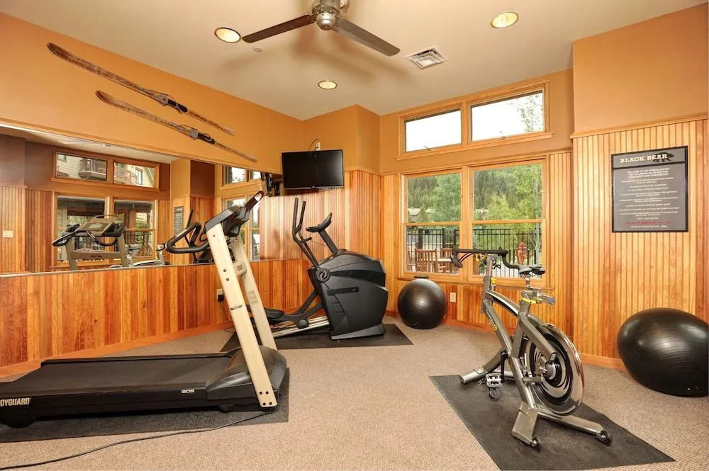 Black Bear 8078