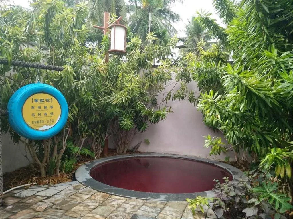 Sanya Little Fish Hot Spring Hotel