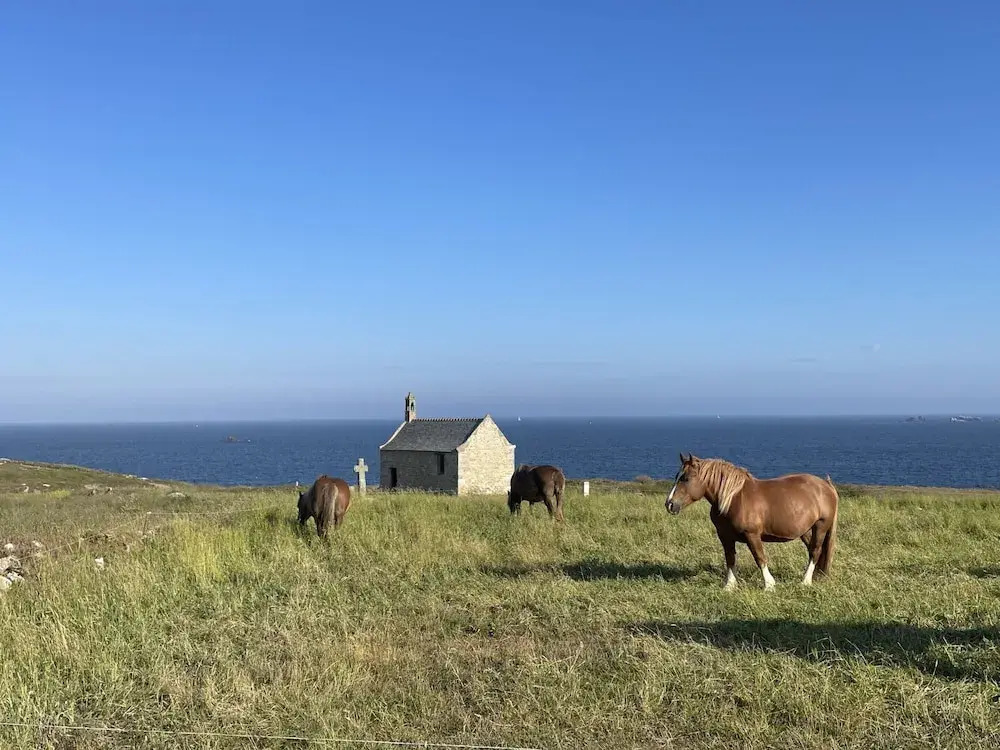 Large Family House Near the Beach